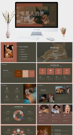 黄色猫主题小清新市场分析通用培训PPT预览图