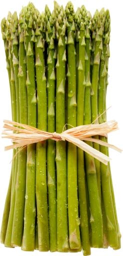 芦笋 PNG免抠