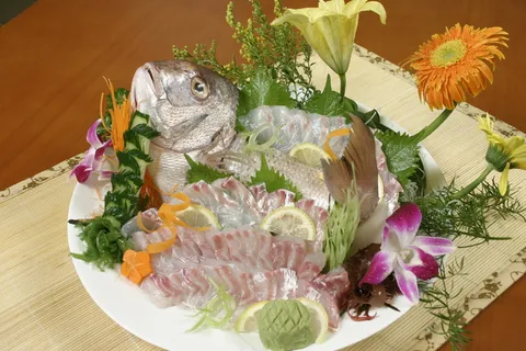 加吉鱼活料理  加吉鱼活料理