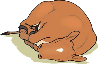 马匹卡通橘色简笔