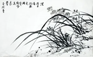 兰_0001