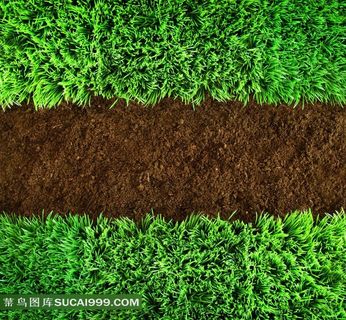 绿色草地图片素材