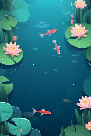 夏至池塘荷叶锦鲤背景