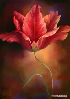 唯美红色花卉油画 唯美红色花卉油画