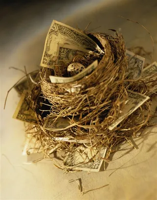 纸币鸡蛋窝图片素材