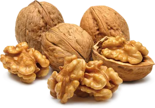 核桃仁 核桃照片 摄影照片