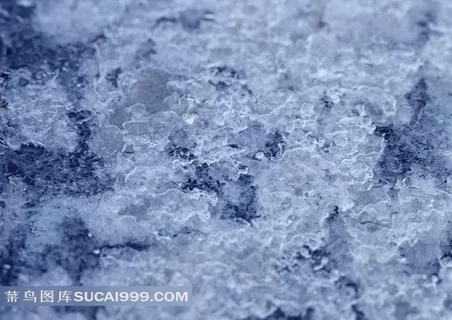 北海道上的冰花