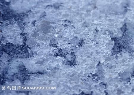 北海道上的冰花 北海道上的冰花
