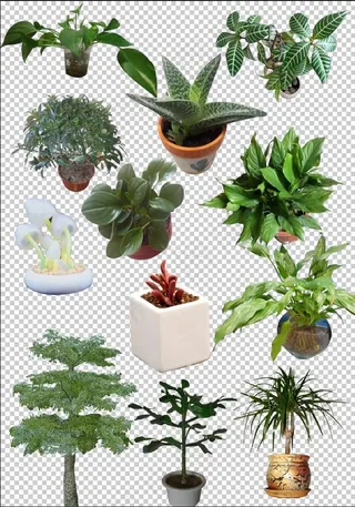 植物盆景免扣素材
