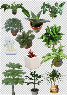 植物盆景免扣素材 植物盆景免扣素材
