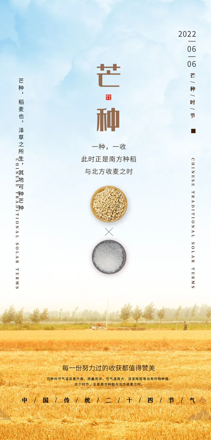 中国传统24节气芒种微信宣传海报