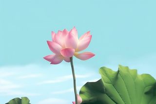 清新阳光荷花荷叶天空白云背景