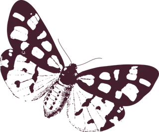 卡通动画动画蝴蝶免扣PNG手绘插画图片素材 (157)