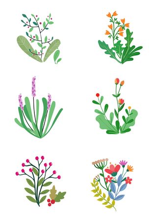 免抠春季小清新绿色花草植物插画元素