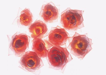 花团锦簇三玫瑰 花团锦簇三玫瑰