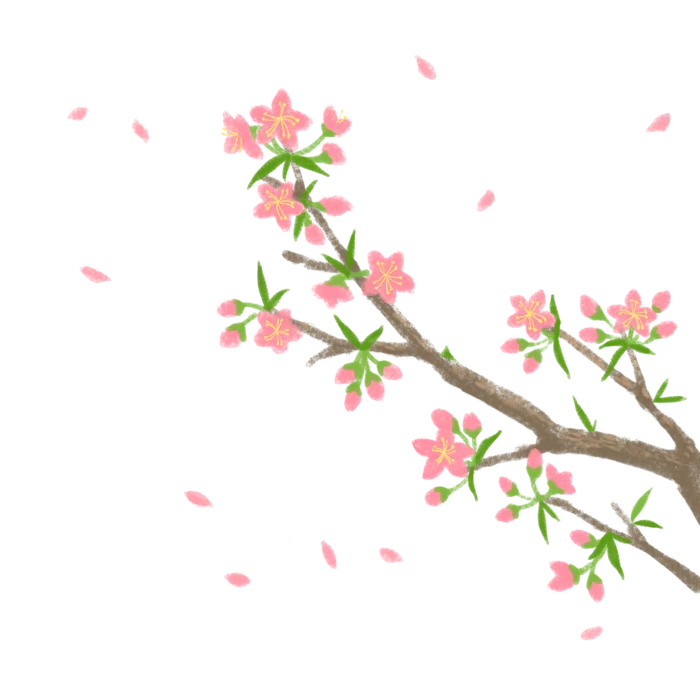 春天浪漫粉红色樱花手绘樱花梅花桃花花朵图片PNG免扣素材