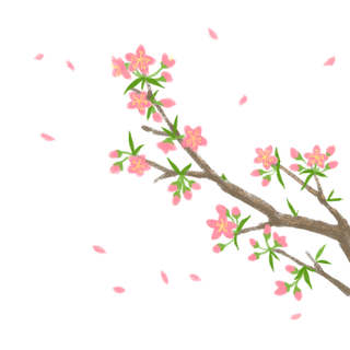 春天浪漫粉红色樱花手绘樱花梅花桃花花朵图片PNG免扣素材