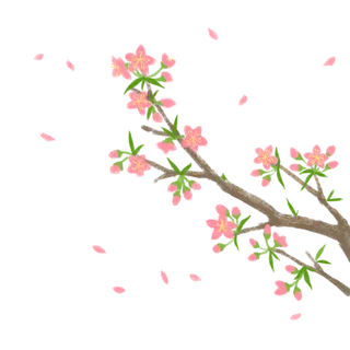 春天浪漫粉红色樱花手绘樱花梅花桃花花朵图片PNG免扣素材