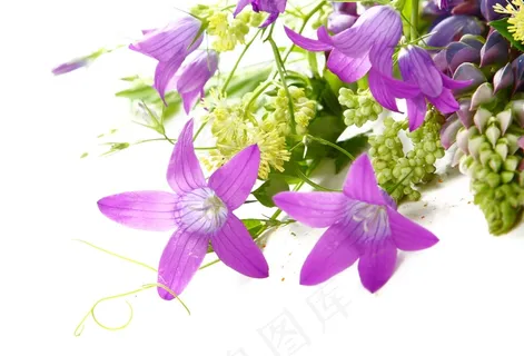 紫红色鲜花花束图片 紫红色鲜花花束图片