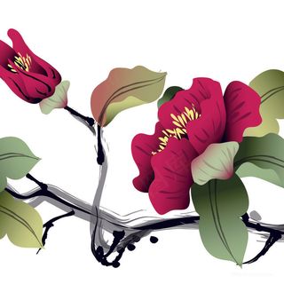 高清水彩花卉艺术画