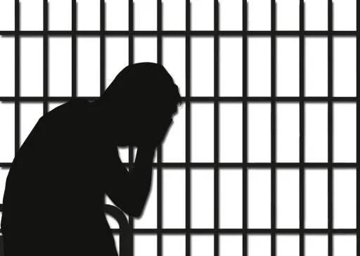 ** PNG免抠(1502x1069)