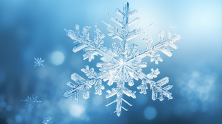 冬季雪花细节图