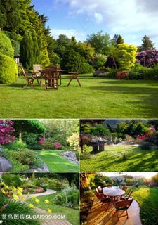 唯美花园高清图片素材