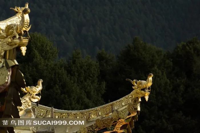 金碧辉煌的藏传佛教建筑寺院的龙头屋顶挑檐