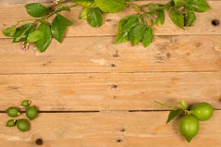 绿色果实枝叶木板背景图片