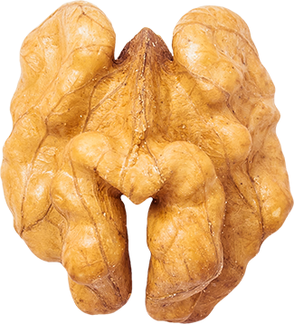 03_Walnut