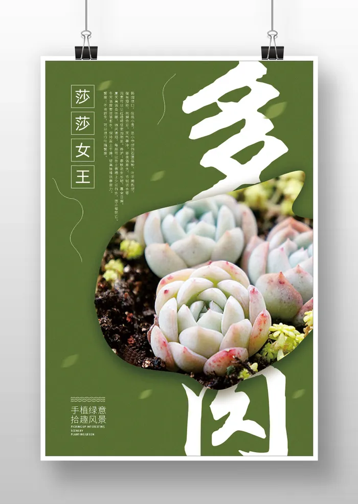 多肉-莎莎女王cdr矢量模版下载