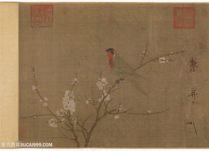 五色鹦鹉站在开花的杏树上手绘插画