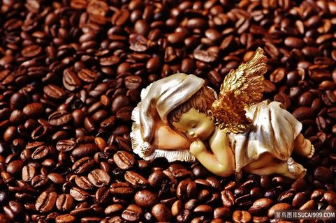 咖啡豆图片素材