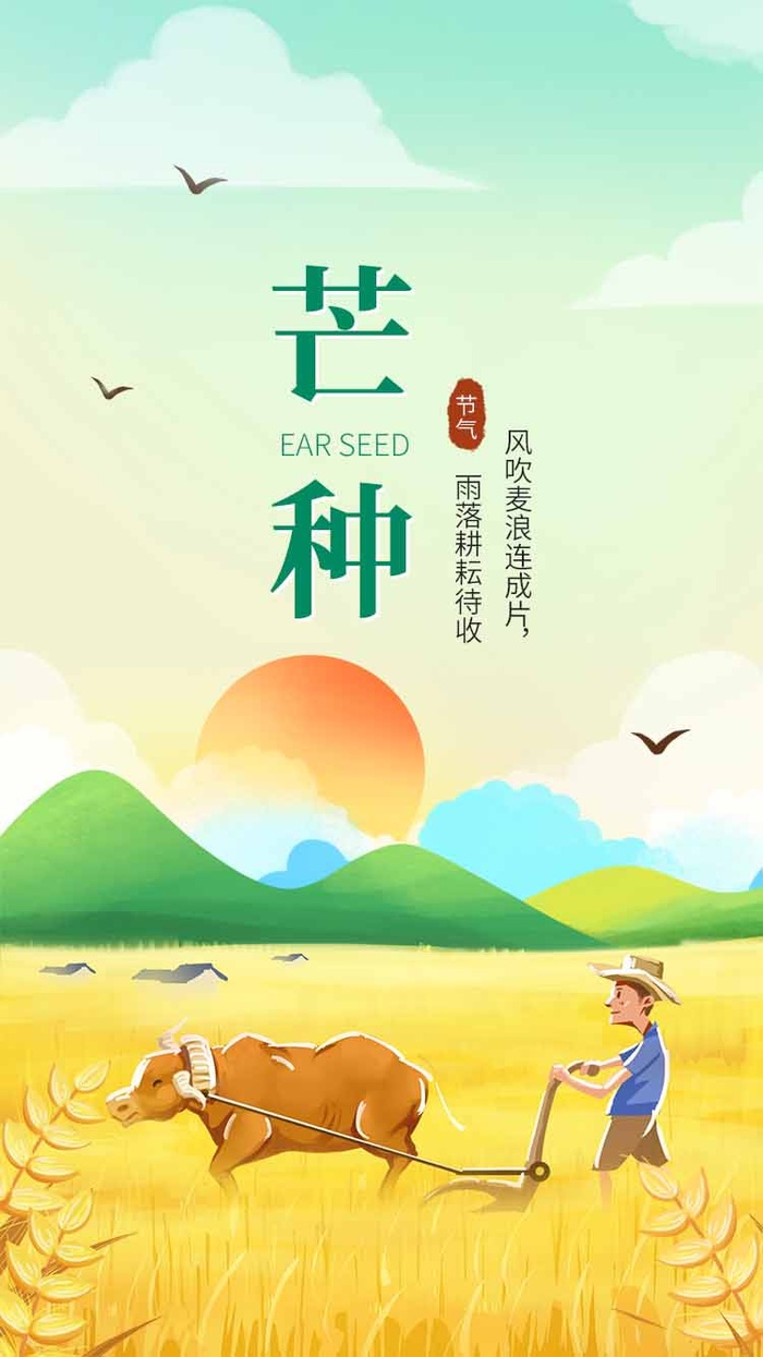 芒种 芒种宣传海报psd模版下载
