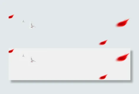 鸽子装饰花瓣素材免扣