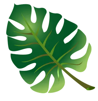 绿色植物叶子插画棕榈叶装饰植物叶子（免抠元素）