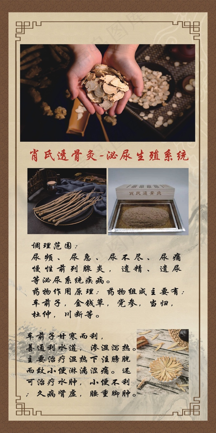 艾美森泌尿生殖psd模版下载