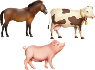 马匹奶牛猪卡通素材