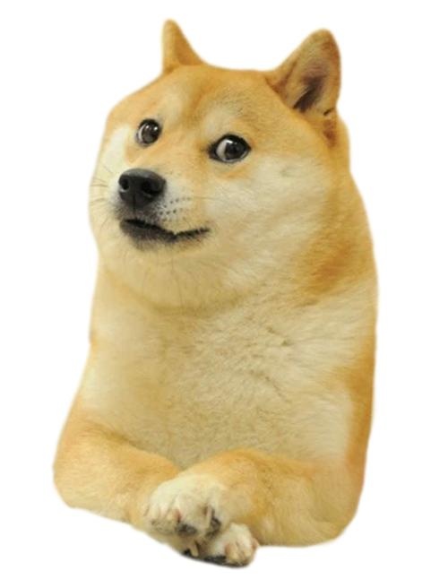 总督 (meme) PNG 图像免抠(500x656)