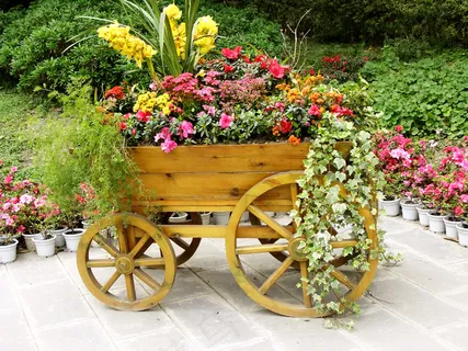 花车图片 花车图片