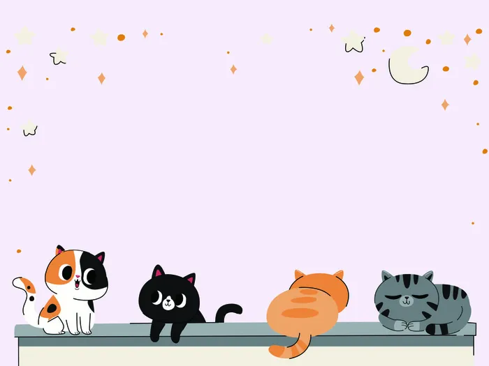 紫粉桌子上的四只猫