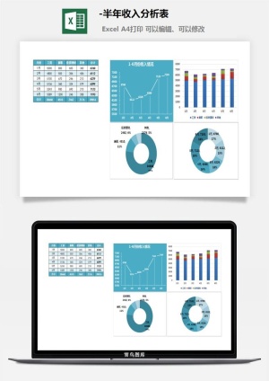 30-半年收入分析表
