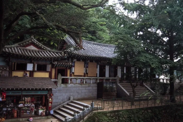松树林前的寺院