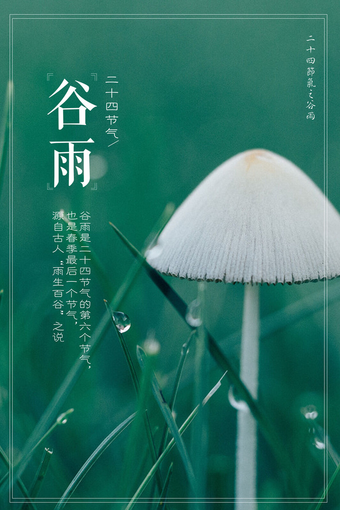 谷雨二十四节气海报设计psd模版下载