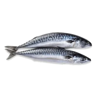 鱼类(24)海鲜超市商品红酒白底图免抠实物摄影png格式图片透明底