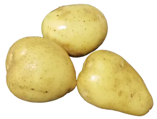 多个新产红心马铃薯土豆洋芋免抠实拍高清摄影元素素材