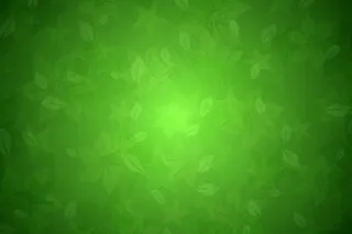 绿叶淡雅背景图片