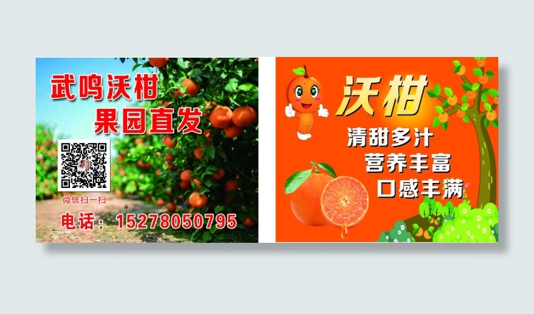沃柑名片设计源文件cdr卡片模版cdr矢量模版下载