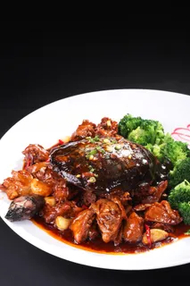 甲鱼焖土鸡 (14)