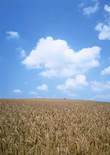 晴空万里概念素材 晴空万里概念素材